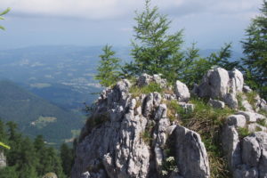 Uršlja Gora