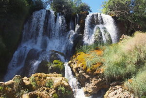 Kravica