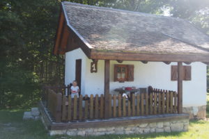 Čardaklije